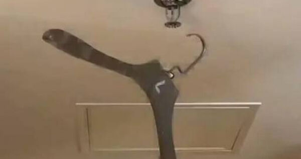 旅客住飯店隨手一掛！事後竟收68萬元「天價帳單」　原因曝光