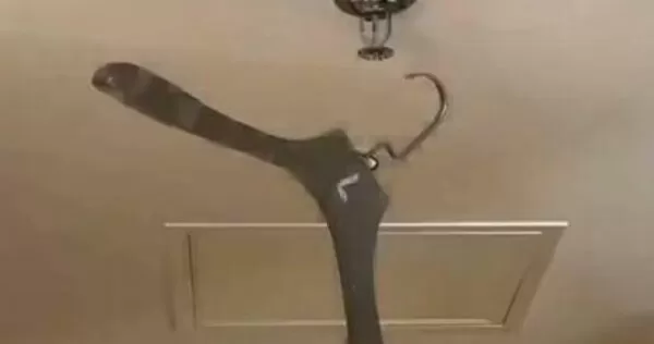 旅客住飯店隨手一掛！事後竟收68萬元「天價帳單」　原因曝光