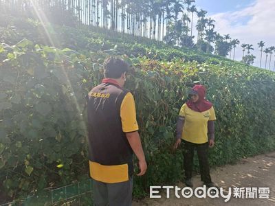 受創樺加沙颱風！花蓮6蔬果可獲現金救助　受理至11/3止