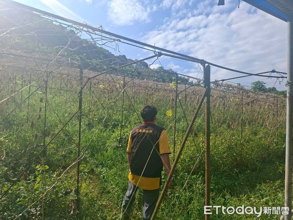 ▲▼花蓮縣政府農業處會同相關單位現場勘查，確認災情。（圖／花蓮縣政府提供，下同）