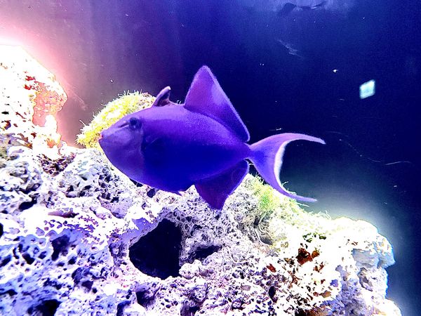 ▲Xpark今年秋冬新檔期。（圖／Xpark提供）