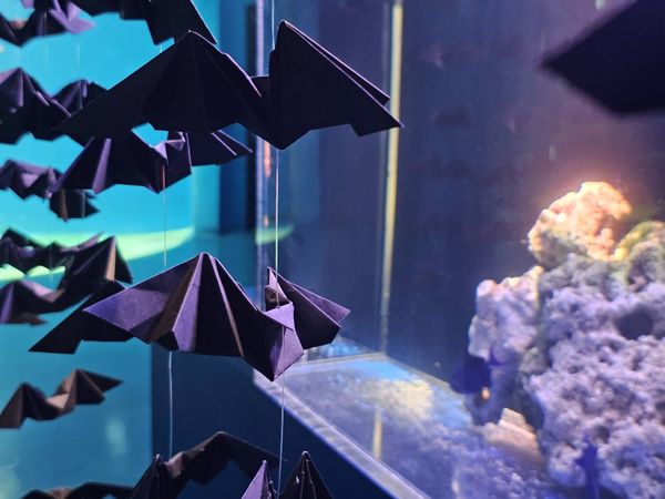 ▲Xpark今年秋冬新檔期。（圖／Xpark提供）