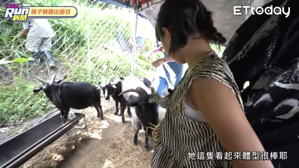 ▲▼《星光雲！RUN新聞》。（圖／ETtoday）