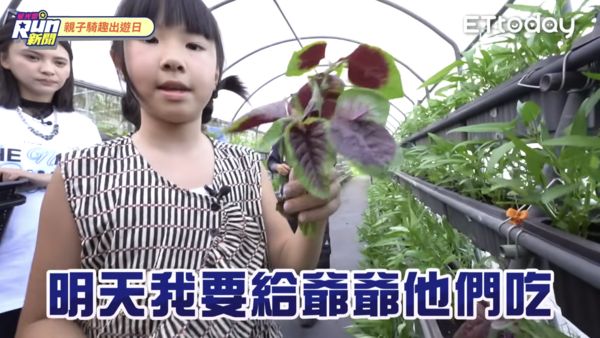 ▲▼《星光雲！RUN新聞》。（圖／ETtoday）