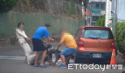 小模散步愛犬遭比特犬攻擊！脖子咬出10公分傷口濺血　恐怖影片曝光