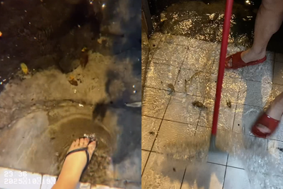 新北深夜暴雨突襲多處淹水　中和人傻眼曝「水灌家中」慘況