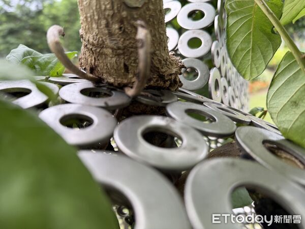 ▲火焰木從「幸福召喚」貓造型裝置頭頂竄出，形成罕見生命共生景象。（記者林東良翻攝，下同）