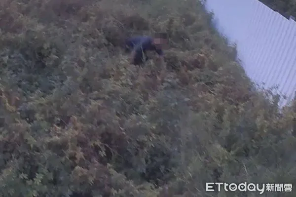 ▲越南籍失聯移工逃竄至工地圍籬內草叢躱藏。（圖／桃園警分局提供）