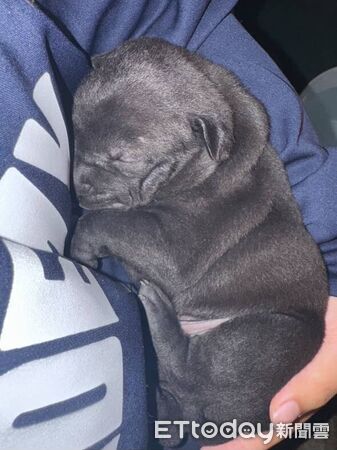 ▲。（圖／Threads@hei_xiong327提供，請勿隨意翻拍，以免侵權。）