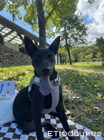 ▲。（圖／Threads@hei_xiong327提供，請勿隨意翻拍，以免侵權。）