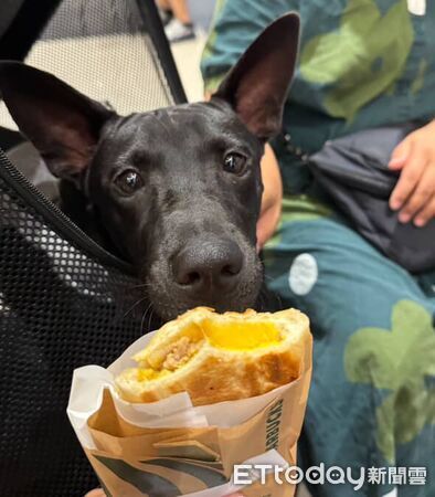 ▲。（圖／Threads@hei_xiong327提供，請勿隨意翻拍，以免侵權。）