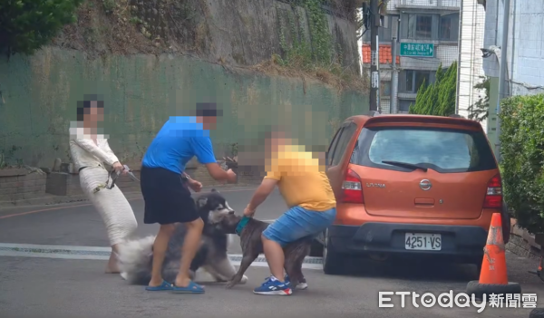 ▲▼比特犬沒牽繩亂攻擊！民眾愛犬遭咬「傷口十公分噴血」　鄰居打電話飼主才現身。（圖／網友davidyuyuyu授權使用）