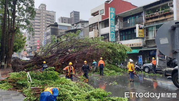 ▲北市大同區昌吉街路樹因風雨倒塌，警方呼籲民眾減速慢行通過 。（圖／記者張君豪翻攝）
