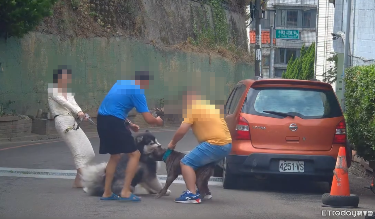 小模散步愛犬遭比特犬攻擊！脖子咬出10公分傷口濺血　恐怖影片曝光