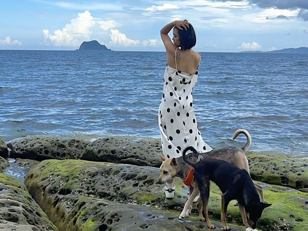 ▲▼永慶房市訊息,永慶必知小常識,永慶安心買賣屋。（圖／業者提供）