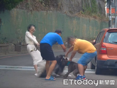 新竹比特犬撕咬雪橇犬動保處調查 飼主:地震門鬆脫才溜出去