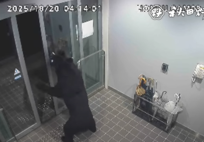 秋田市區4人遭襲擊!熊「躲進住家內」逾24小時 警急封鎖現場
