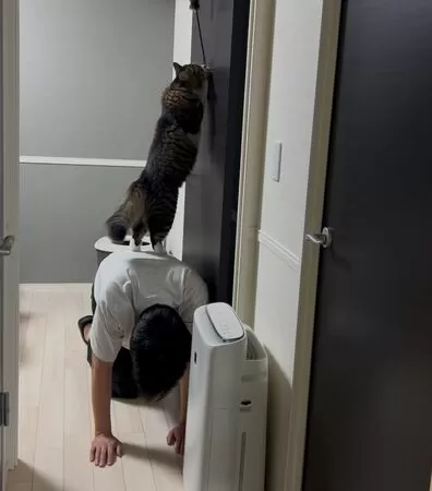 ▲。（圖／翻攝自X／@hotanyan）