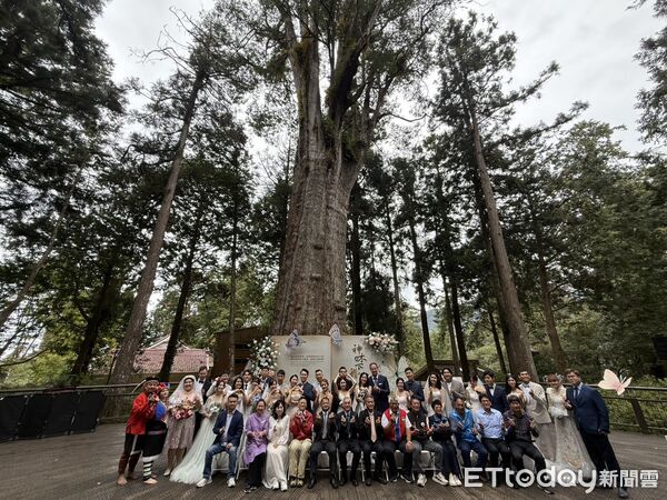 ▲▼ 2025阿里山神木下婚禮  。（圖／記者翁伊森攝）