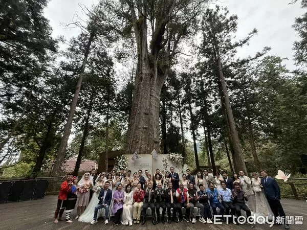 ▲▼ 2025阿里山神木下婚禮  。（圖／記者翁伊森攝）