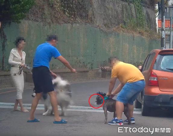 新竹比特犬攻擊雪橇犬。（圖／Threads@davidyuyuyu提供）