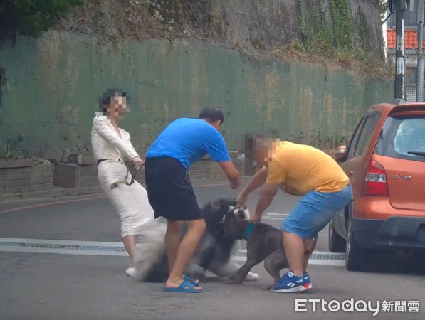 新竹比特犬攻擊雪橇犬。（圖／Threads@davidyuyuyu提供）