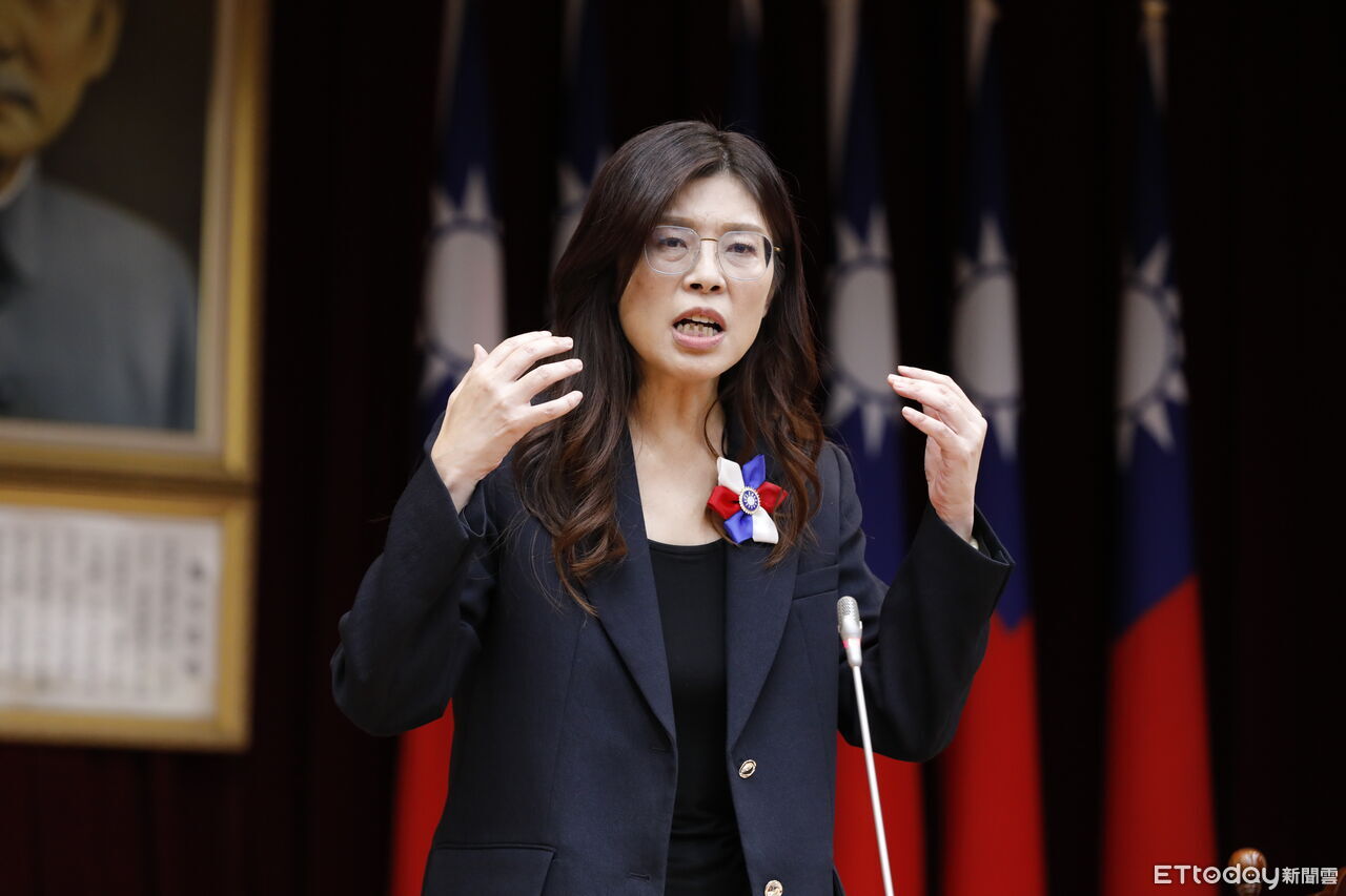 德國之聲專訪談兩岸、見習近平　鄭麗文強調「沒放棄武力保台決心」