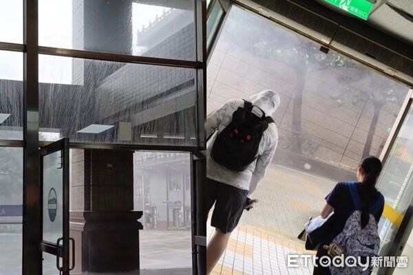 文化大學風雨超大「樹被吹到變形」　學長姐見1細節歪樓：都是新生