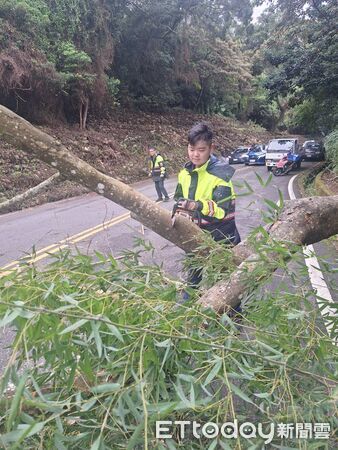 ▲強烈東北季風發威，苗栗多處路樹倒坍影響交通，相關單位全力搶通；苑裡一男子開車精神不濟，轎車掉落水溝。（圖／記者楊永盛翻攝）