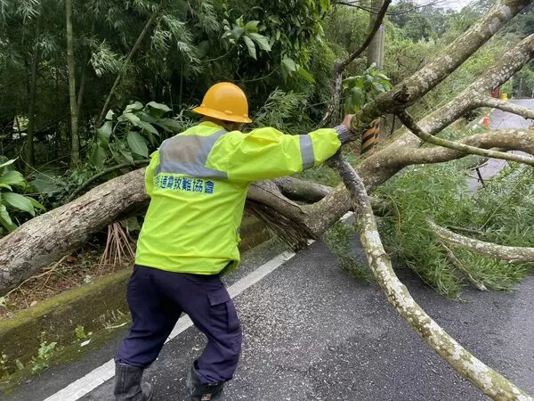 ▲強烈東北季風發威，苗栗多處路樹倒坍影響交通，相關單位全力搶通；苑裡一男子開車精神不濟，轎車掉落水溝。（圖／記者楊永盛翻攝）