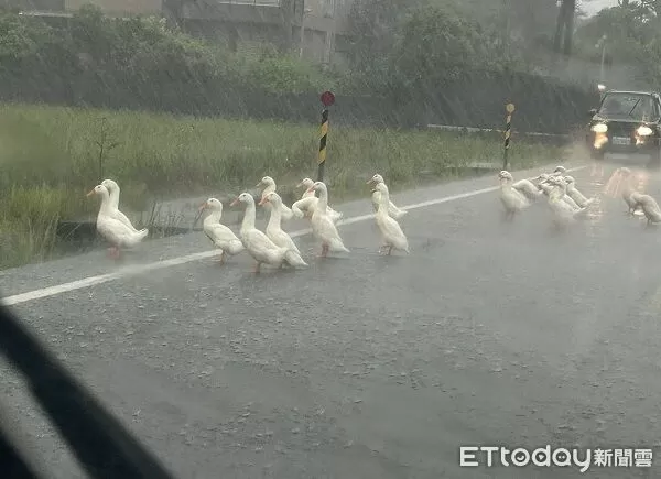 ▲。（圖／網友江婉瑈提供，請勿隨意翻拍，以免侵權。）