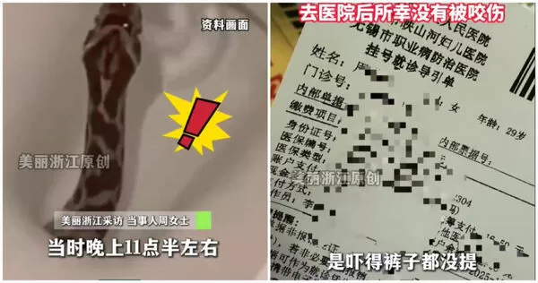 。（圖／翻攝微博／錢江視頻）