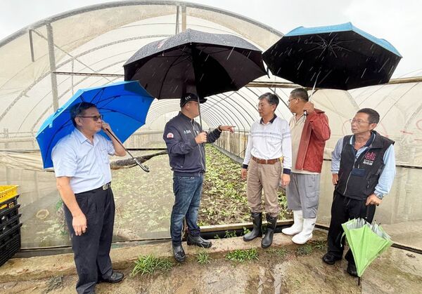 ▲豪雨成災，農糧署今日上午會同桃園農改場與農業局人員到桃園市蘆竹區海湖低窪地區農田勘災。（圖／桃園市農會提供）