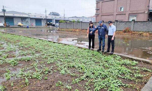 ▲農糧署今日會同桃園農改場與農業局人員到蘆竹區海湖低窪地區農田勘災。（圖／桃園市農會提供）