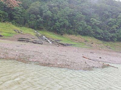 雪山豪雨沖到「上游變色」　翡翠水庫急進場：不影響大台北水質