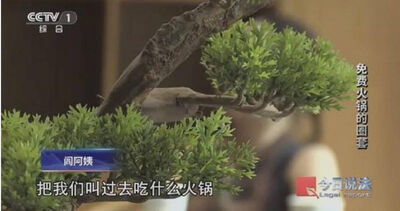 「免費吃火鍋」誘騙投資　600人上當損失1.8億