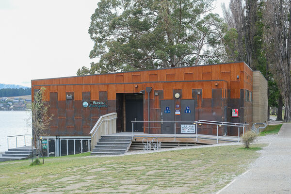 ▲▼紐西蘭南島必訪瓦納卡之樹 That Wānaka tree。（圖／部落客飛天璇提供）