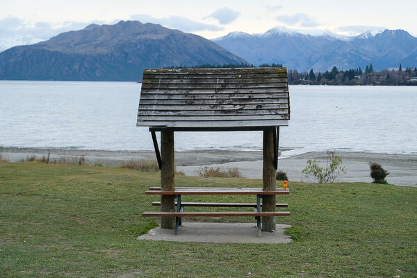 ▲▼紐西蘭南島必訪瓦納卡之樹 That Wānaka tree。（圖／部落客飛天璇提供）