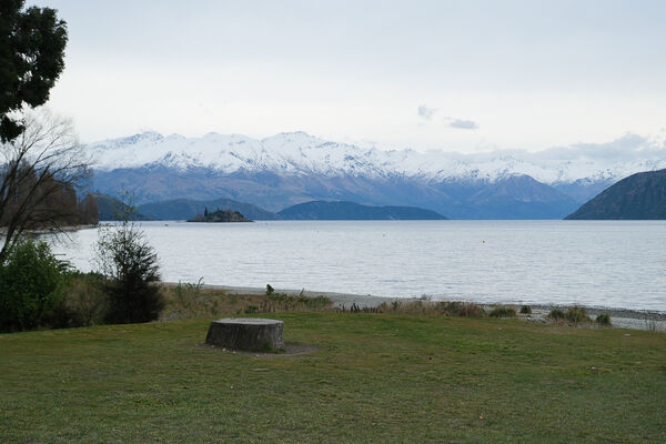 ▲▼紐西蘭南島必訪瓦納卡之樹 That Wānaka tree。（圖／部落客飛天璇提供）