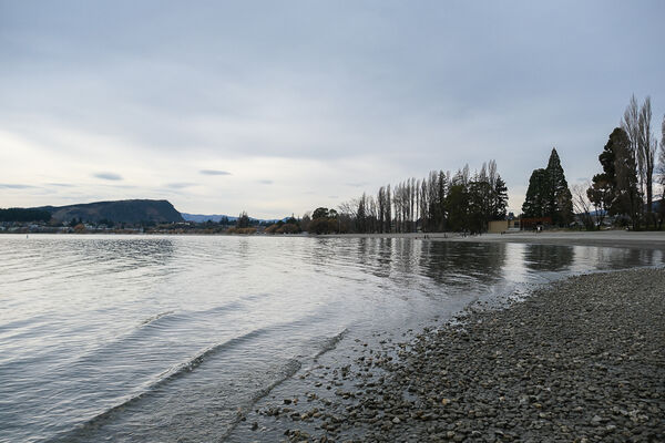 ▲▼紐西蘭南島必訪瓦納卡之樹 That Wānaka tree。（圖／部落客飛天璇提供）