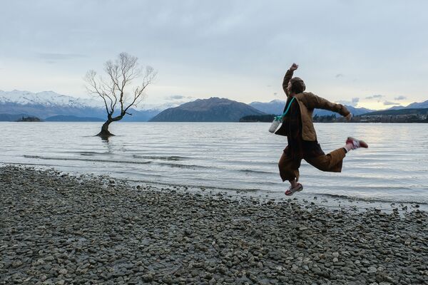 ▲▼紐西蘭南島必訪瓦納卡之樹 That Wānaka tree。（圖／部落客飛天璇提供）