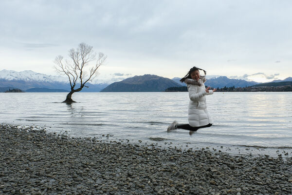 ▲▼紐西蘭南島必訪瓦納卡之樹 That Wānaka tree。（圖／部落客飛天璇提供）
