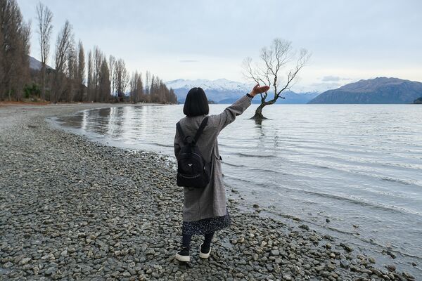▲▼紐西蘭南島必訪瓦納卡之樹 That Wānaka tree。（圖／部落客飛天璇提供）
