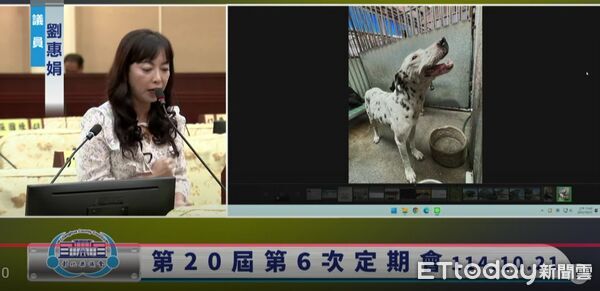 ▲劉惠娟議員質詢流浪狗中途之家用發霉的保麗龍碗餵狗。（圖／翻攝自彰化縣議會直播）