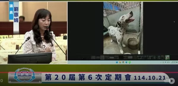 ▲劉惠娟議員質詢流浪狗中途之家用發霉的保麗龍碗餵狗。（圖／翻攝自彰化縣議會直播）