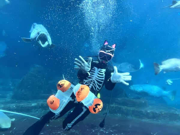 ▲▼花蓮遠雄海洋公園。（圖／業者提供）