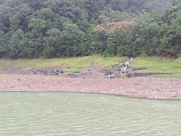 ▲▼雪山山脈豪雨，大量漂流枯枝湧入翡翠水庫庫區，翡管局前進上游坪林水域施工清理。（圖／翡管局）