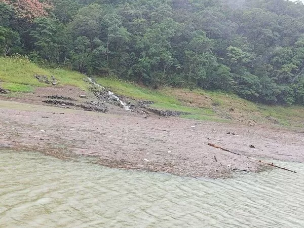 ▲▼雪山山脈豪雨，大量漂流枯枝湧入翡翠水庫庫區，翡管局前進上游坪林水域施工清理。（圖／翡管局）