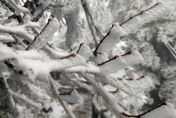 ▲河南平頂山降雪。（圖／CFP）