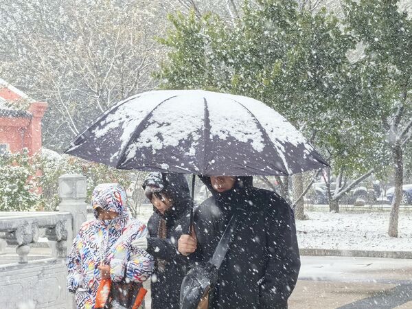 ▲哈爾濱大雪紛飛。（圖／CFP）